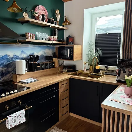 W Górach Apartament Zaluczne