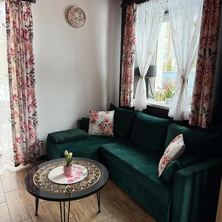 W Górach Apartament Zaluczne