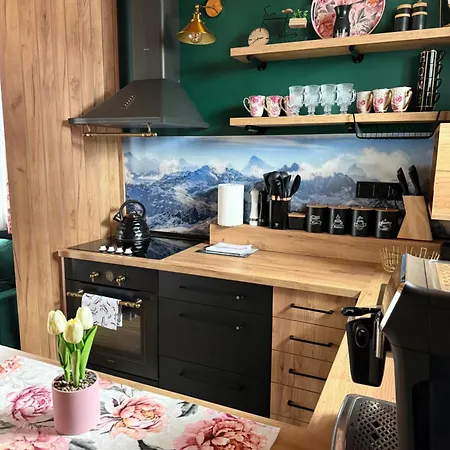 W Górach Apartament Zaluczne